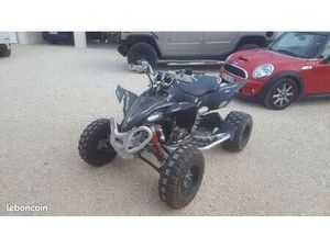 450 YFZ HOMOLOGUE