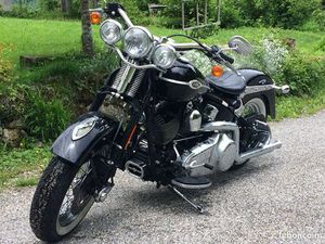 HARLEY SPRINGER CLASSIC