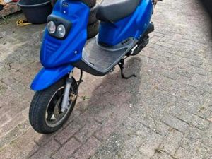 PEGASUS SKY 50.ROLLER