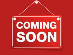 USED HONDA CRF1100L AFRICA TWIN FOR SALE IN SOUTHEND ON SEA