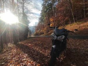 STREET TRIPLE 675 R ABS