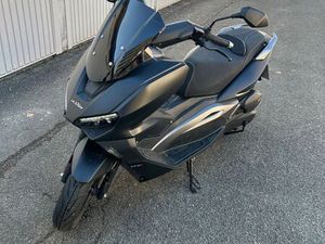 LUXXON SILVERMAX 125
