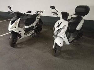 PEUGEOT STREETZONE PLAYBOY 50 CCM 2TAKTER