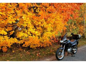 SUZUKI XF 650 FREEWIND IDEALNY