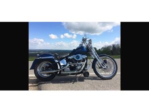 SUPER SCHÖNE HARLEY SOFTAIL SPRINGER