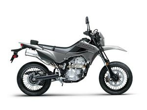 2024 KAWASAKI KLX®300SM