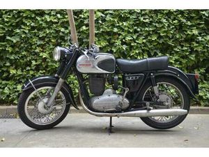 NIMOTO - SANGLAS 400