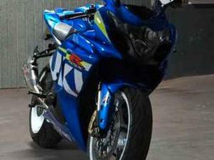 SUZUKI - GSXR 1000