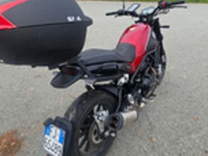 BENELLI LEONCINO 500