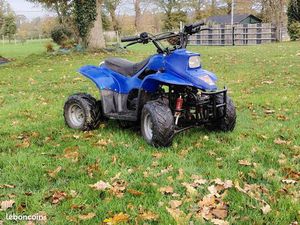 QUAD ENFANT 50 CM³ HYTRACK SX – 450