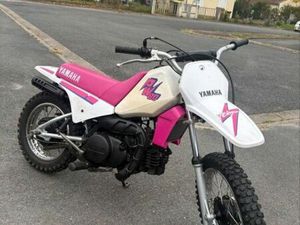 PIWI 80 ROSE ÉDITION COLLECTOR 1991