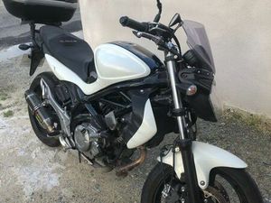 SUZUKI GLADIUS