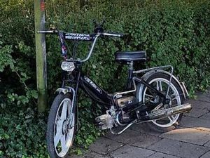 PUCH MAXI N CANTON THURGOVIE -