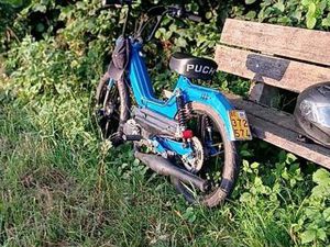 PUCH MAXI S CANTON BERNE -