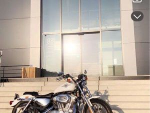 HARLEY DAVIDSON SPORTSER 883 CARBU