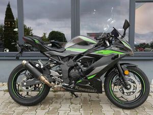 KAWASAKI NINJA 125 - DT. MODELL 2024 - 1. HAND
