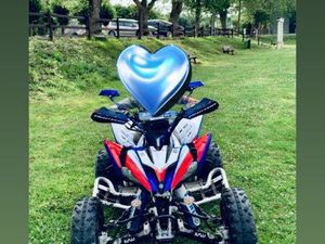 YFM 250R ANNÉE 2013 HOMOLOGUÉ