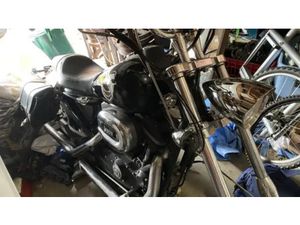 2004 HARLEY DAVIDSON 1200 SPORTSTER