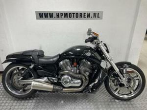 HARLEY DAVIDSON VRSCF MUSCLE V-ROD 1250 ABS FINAL EDITION BO — MOTOREN | HARLEY-DAVIDSON — MARKTPLAATS