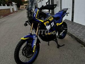 TENERE WOLD RAID 2023