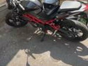 BENELLI BN 125 - 2022