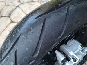 BENELLI LEONCINO NERO