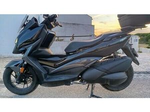 ZONTES 310 M PERFEITA