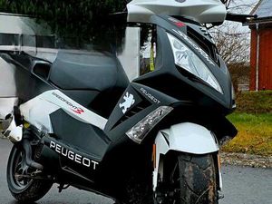 PEUGEOT SPEEDFIGHT 3 50 CCM ROLLER 2900 KM 1.HAND