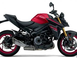 SUZUKI GSXS 1000
