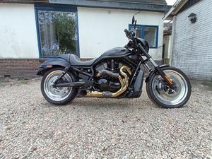 HARLEY-DAVIDSON - VRSCD - V-ROD - NIGHT ROD - 2006