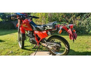 HONDA XL 250R