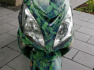 CHINA ROLLER, SCOOTER, 45KM/H VERS. KENNZEICHEN, 2 SITZER