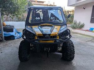 CAN-AM ALTRO MODELLO - 2013