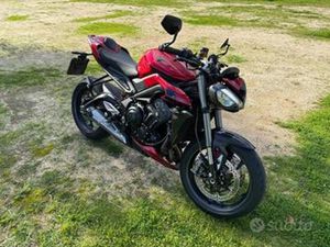 TRIUMPH STREET TRIPLE - 2024