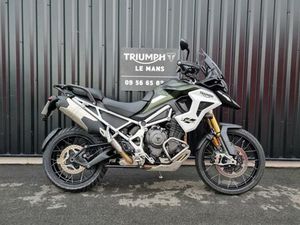 TRIUMPH TIGER 1200 RALLY PRO 2025 1160 CM3 | MOTO TRAIL | 5 200 KM | VERT | 72230 RUAUDIN