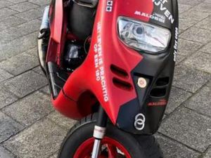 TYPHOON 172CC — SCOOTERS | PIAGGIO — MARKTPLAATS