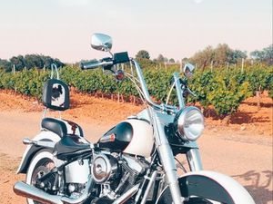 SUPERBE NOSTALGIA 93 SÉRIE LIMITÉE ET NUMÉROTÉE