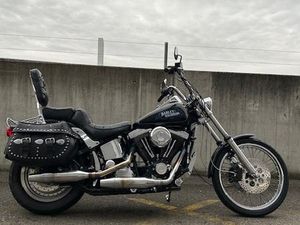 FXST SOFTAIL 5-SPEED