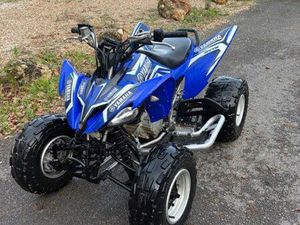 250 RAPTOR HOMOLOGUÉ