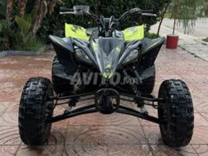 RAPTOR YFM 450