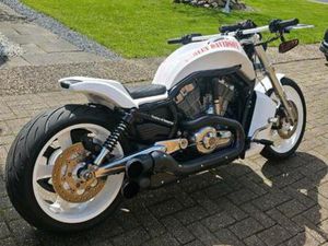 HARLEY DAVIDSON V ROD MUSCLE