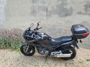 YAMAHA TDM 900 - 2004