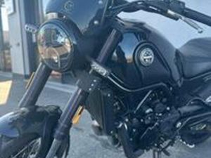 BENELLI LEONCINO 500