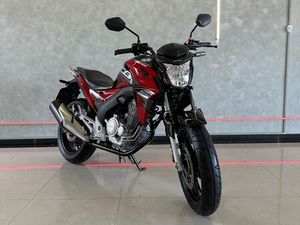 HONDA CB TWISTER/FLEXONE 250 CC