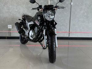 YAMAHA YS 250 FAZER/FAZER L. EDITION/BLUEFLEX