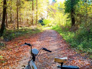 PIAGGIO CIAO TEEN 50