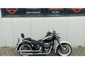 VENDO HARLEY-DAVIDSON 1585 SOFTAIL DELUXE (2011) - FLSTN USATA A JESI (CODICE 9903599) - MOTO.IT