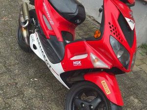 PEUGEOT SPEEDFIGHT 2 50 CCM ROLLER WRC 307 DESIGN