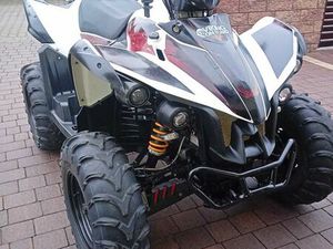 TGB 450 TARGET 4X4 ALEKSANDRÓW KUJAWSKI