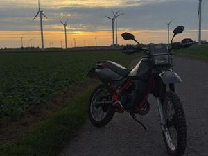 KAWASAKI KMX 125 2-TAKT | BJ 1997